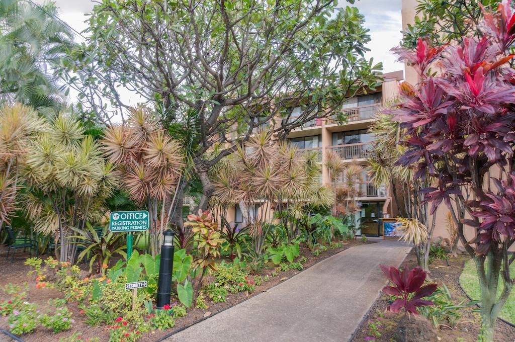 Maui Vista By Maui Condo And Home Кіхеї Екстер'єр фото